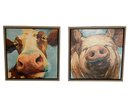 Framed Cow And Pig Prints