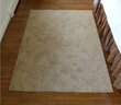Beige/tan Carpet Rug