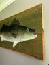 Large Signed Painted Panel - Fish