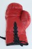 Iron 'Blade' Barkley Signed Everlast Boxing Glove