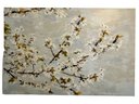 White Cherry Blossom Print
