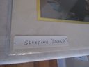 Original Photograph Sleeping Lobster Signed Matted
