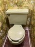 An Oh-So-Mod Eljer Avocado Toilet - Pool Bathroom