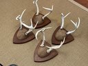 Four Pair Mounted Antlers
