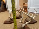 Four Pair Mounted Antlers