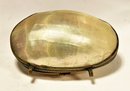 Victorian Brass Collared Shell Purse (has Minor Crack In One Panel)