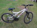 Adult Sized Pacific Evolution 10spd Mountain Bike Style Bicycle.
