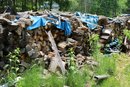 Over Three Cords Of Ready To Use Fire Wood - Lot 2