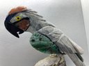Stunning Carved Brazilian Multi-gemstone McCaw Parrot On Amethyst Geode