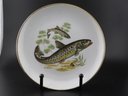 Set Of 5 Vintage Israeliate Naaman Fish Luncheon Plates With Gold Trim