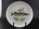 Set Of 5 Vintage Israeliate Naaman Fish Luncheon Plates With Gold Trim