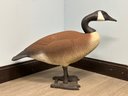 A Pair Quality Canadian Goose Decoys, Vintage