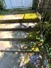 Bluestone Front Steps, Upper And Lower Landings And Wrought Iron Rails