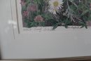 Signed Artist Proof, New England Wildflowers