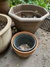Frog Watering Can & Planter Pots: Ceramic, Terracotta & Plastic