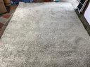 A Large Modern Shag Carpet
