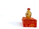 Artist Chinese Snuff Bottle - Reverse Painted - In Silk Box