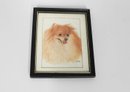 Signed Watercolor By Ede', Titled Toy Pomeranian