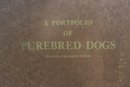Vintage Portfolio Of Pure Breed Dogs By Gladys Emerson Cook