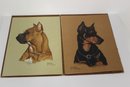 Vintage Portfolio Of Pure Breed Dogs By Gladys Emerson Cook