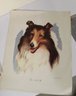 All About Collies Books & Prints