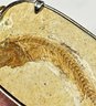 Vintage Fish Fossil Pendant