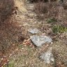 A Natural Stone Path