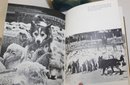 A French Set Of Books On Dogs, Le Grand Liv Re Du Chen