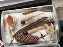 THREE FLATS OF NATURALIST ITEMS, MOSTLY FLORA AND FAUNA SAMPLES
