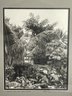 TWO VINTAGE PHOTOGRAPHS, ONE OF NEGRIL, JAMAICA SIGNED MERRITT E BROWN AND ONE OF A MOUNTAIN LANDSCAPE