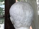 Fabulous Antique Carved Marble Bust Of Young Man - Very Well Done - Fine Details - Fantastic Antique Bust
