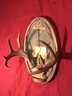 Early 1900s Full Skull Antlers Mounted On Plaque With Fish Tail & Name