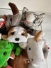 25 Ty Beanie Babies, All With Tags