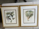 Pair Of Framed Bird Prints.