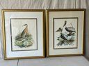 Pair Of Framed Bird Prints.