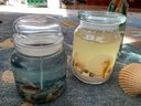 Mixed Lot Of Seashell (and Other) Decorative Objects: Lamp, Nightlight, Gel Candles, Bowl Of Seashells D2