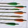 Arrows- NOS & Lightly Used- Allen Quiver, Easton, Musen, Traditional Archery, Huntingdooor & Mystery Box