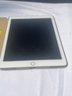 Ipad Air 16GB Model A1566- Gold W/ Three Cases Including Otterbox, Tech Armor Screen Protector, Stylus & More