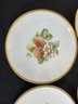 EIGHT HEUSCHENREUTHER 8' LUNCHEON PLATES WITH VARIOUS FRUITS