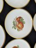 EIGHT HEUSCHENREUTHER 8' LUNCHEON PLATES WITH VARIOUS FRUITS