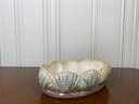 Scallop Shell Hand Painted Ceramic Decorative Bowl