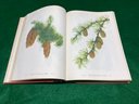 Wild Flowers Of America. 1953 First Edition. 400 Color Plates And 71 Pages Of Text. In Good Condition.