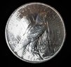 1923 U.S. Peace Silver Dollar, BU