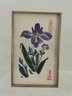 Custom Framed Original Asian Botanical Watercolor Series, Signed