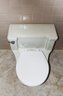 Standard Brand Lowboy 1 Piece Toilet - MCM - Bath 1