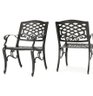 Pair Of Noble House Aluminum Outdoor Dining Chairs 1 Of 2