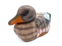Peoples Republic Of China Hand-painted Stone Duck
