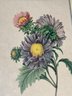 Floral Prints, Aster De Chine & Amemone Simple