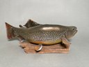 Mounted Brook Trout Taxidermy