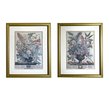 Botanical Plates - Months Of August & January - Well Framed And Matted Behind Glass
